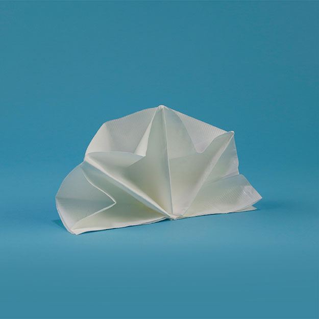 Napkins