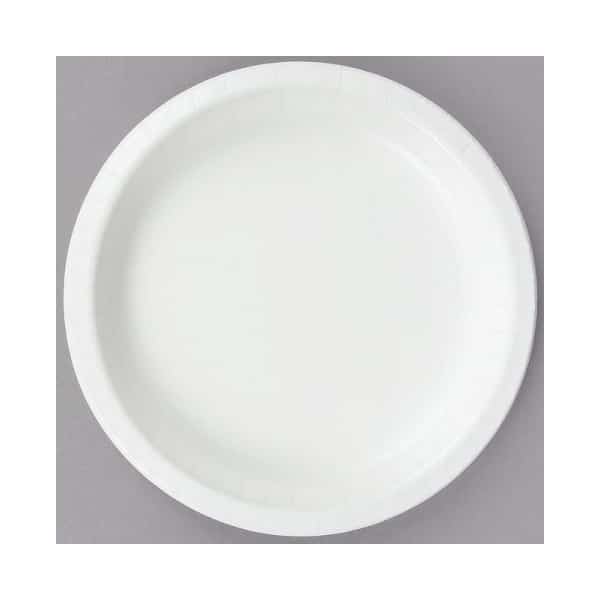 Turquoise Paper Plates 9inch (24)
