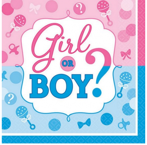 Girl Or Boy Beverage Napkins (16)