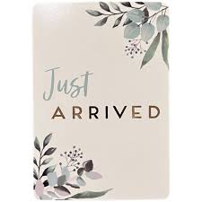 Just Arrived - Baby Milestone Cards