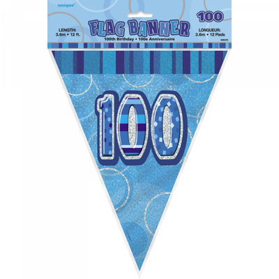 Birthday 100th Bunting Blue/Silver