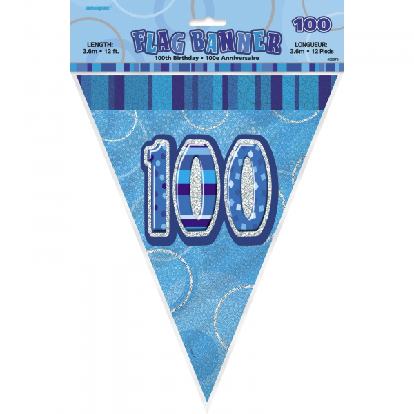 Birthday 100th Bunting Blue/Silver
