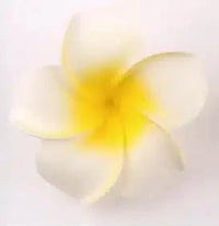 Mini Frangipani Decorative Flowers (100) 9cm