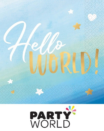 Baby Boy Lunch Napkins Hello World Hot Stamped (16)