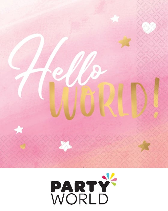 Baby Girl Lunch Napkins Hello World Hot Stamped (16)