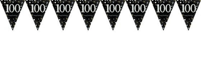 Birthday 100th Bunting Black/Silver