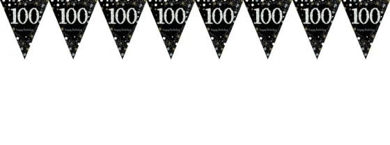 Birthday 100th Bunting Black/Silver