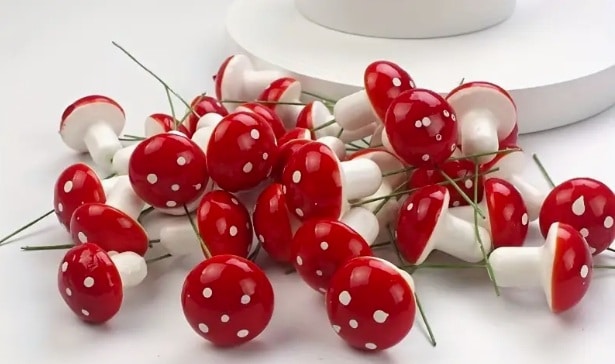 Toadstool Picks (10)