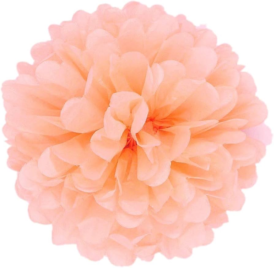 Tissue Paper Pom Pom 45cm - Coral