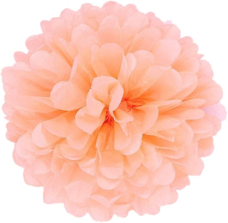 Tissue Paper Pom Pom 45cm - Coral