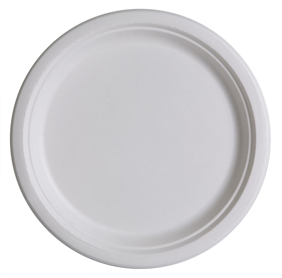 Compostable sugarcane plates 23cm, pack of 25, for barbecues and shared family lunches