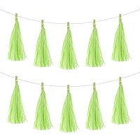 Lime Green Tassel Garland (4 tassels)