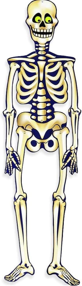 Halloween Hanging Jointed Skeleton