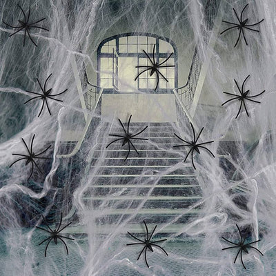 Halloween- Stretchable Spider Web