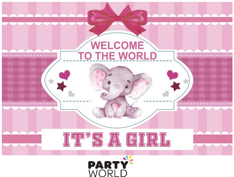 Welcome To The World It's A Girl Vinyl Fabric Backdrop 100 x 150 cm