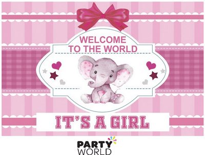 Welcome To The World It's A Girl Vinyl Fabric Backdrop 100 x 150 cm