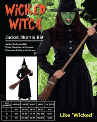 Ladies Wicked Witch Costume (M)