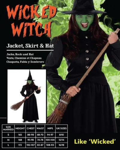 Ladies Wicked Witch Costume (M)