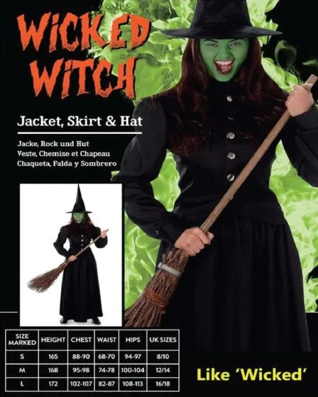 Ladies Wicked Witch Costume (M)