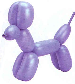 Modeling Animal Balloons 50pk, Assorted
