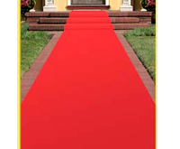 Awards Night Red Carpet Runner
