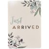 Just Arrived - Baby Milestone Cards - Image 2
