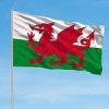 Hang it or wear it - Flag Of Wales